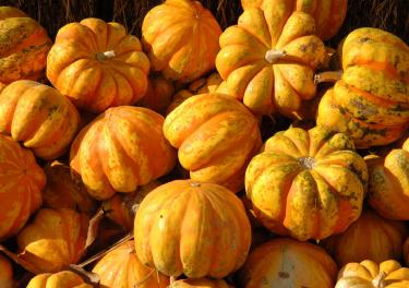 Pumpkin Spice Chipotle: The Spicy Fall Trend
