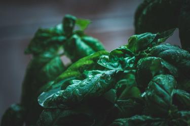 Culinary Upcycling: Using Food Scraps Creatively