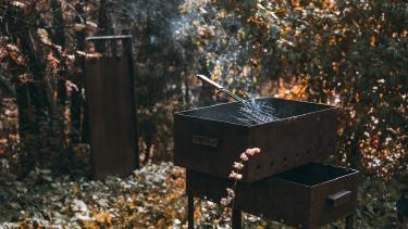 The Complete Guide to Cooking Oils and Smoke Points