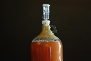 Koji-Based Condiments: Ancient Fermentation Technique