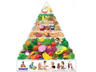 The Beginner's Guide to Reading Nutrition Labels