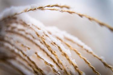 Fibermaxxing Your Breakfast: High Fiber Morning Meals