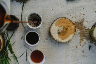 Birch Sap Foraging: Harvest Spring's Wild Tonic Drink