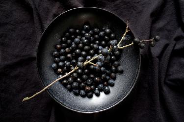 Black Currant Recipes: The Tart Berry Dominating 2026